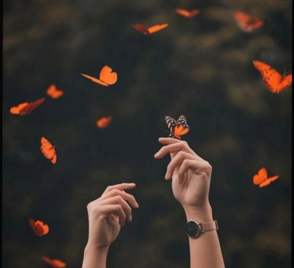 #سووشون# :: #سووشون#