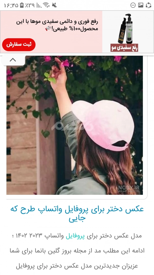 پونه :: پونه