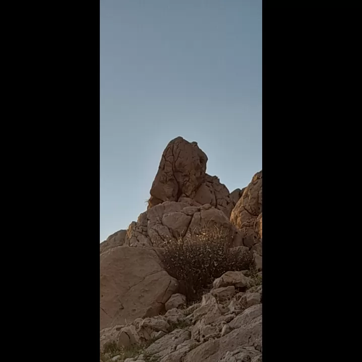 به سنگ دقت کن بگو چه حیونیه 