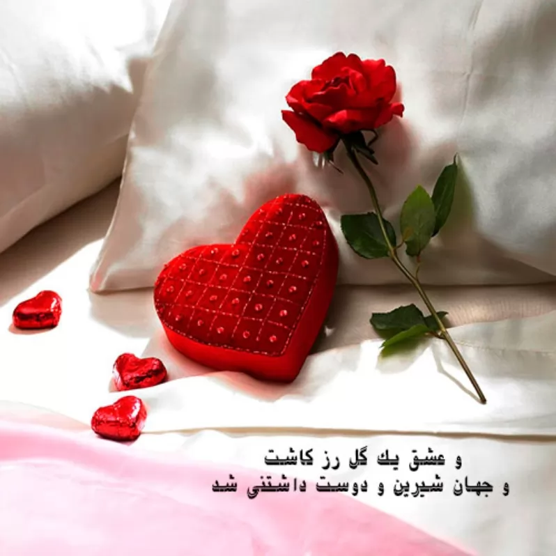 (:........ چی بگم ع*** گویاست❤❤❤