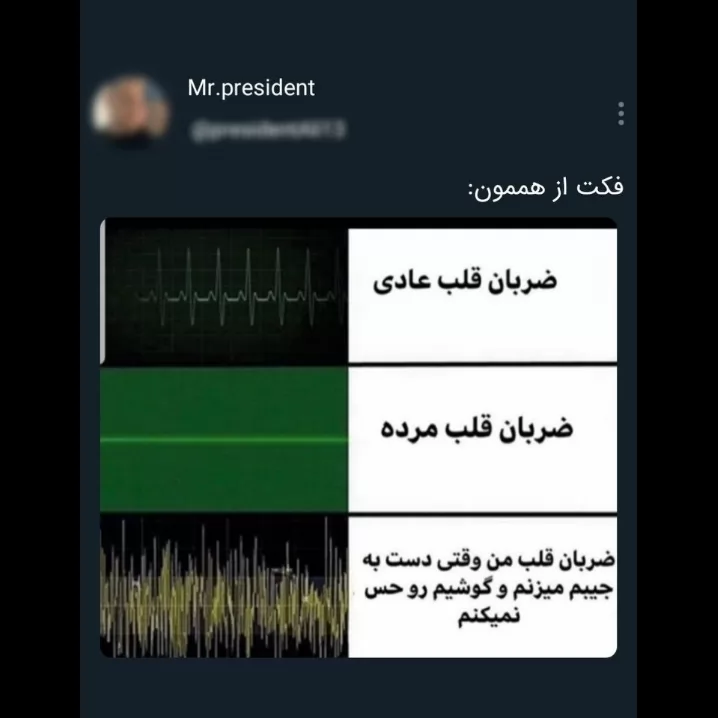 دقیقاً 🤣🤣🤣