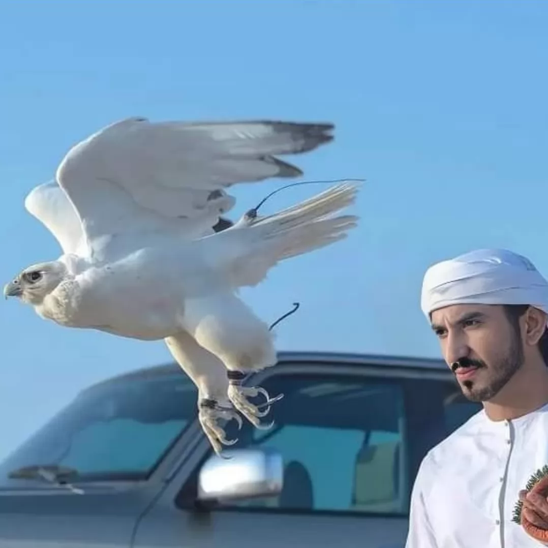 Pictures of Hajj Raees Mohammadi, the flag bearer of Islam, to Dubai 