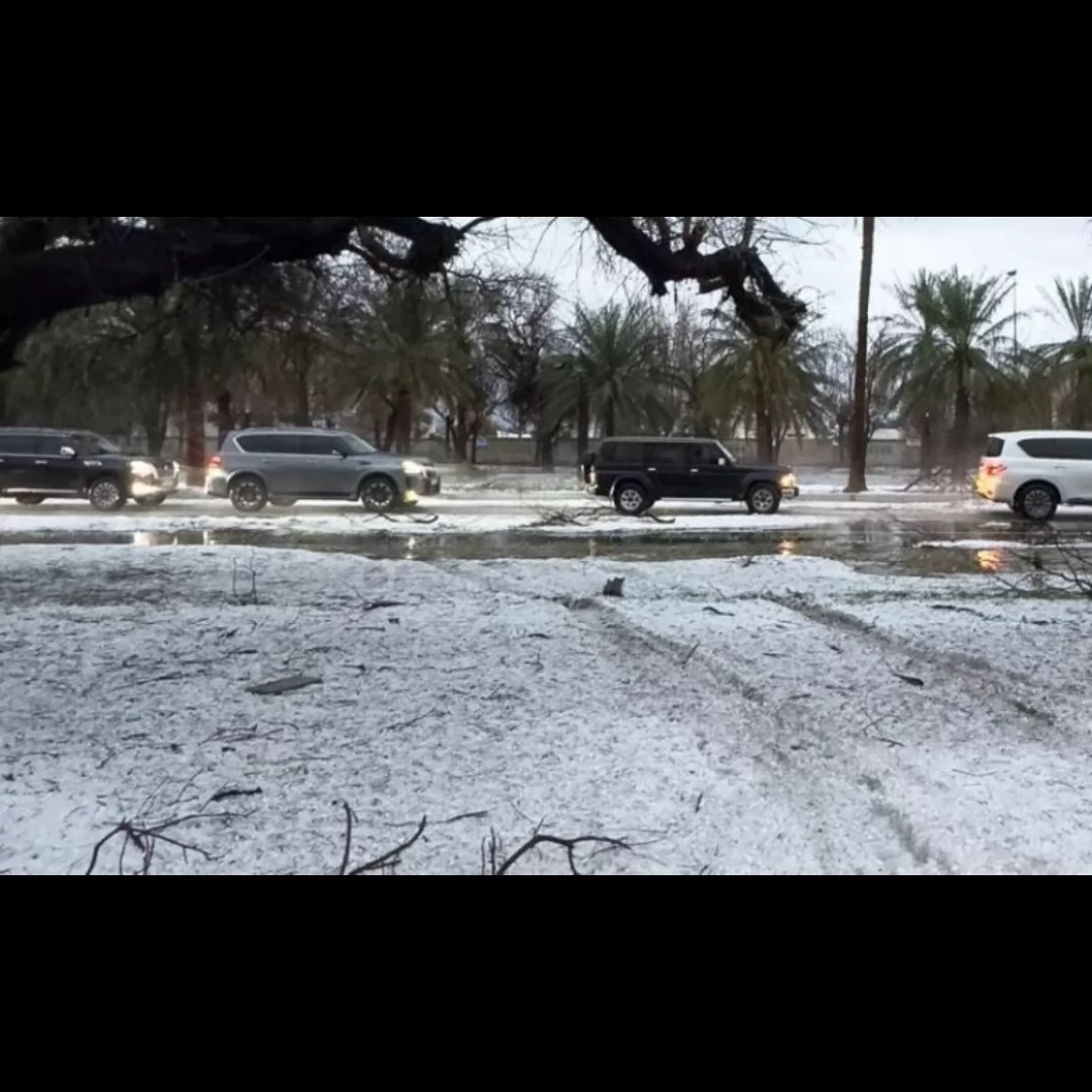 A snowy day after sessions Thank goodness 