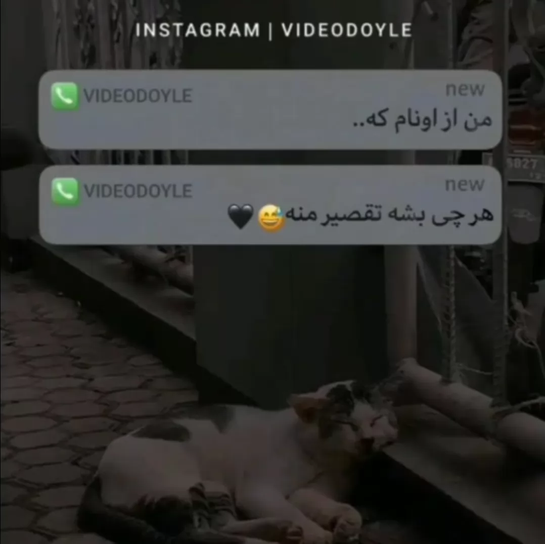 بدون عنوان...................... :