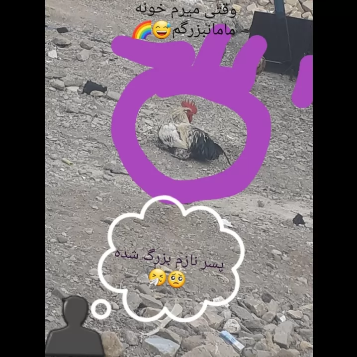 از بیکاری جوجه بزرگ کردیم😂🤧🌈