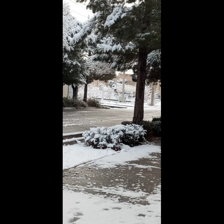 ننه سرما قدمت مبارک  ☃زیبایی هایت را عزیز میداریم،  برایمان دعا ڪن چرخ روزگارمان  ☃در حضور تو به سلامتے و خیر بگردد  و برف شادے به دل همه ببارد  زمستان مبارک .️ 