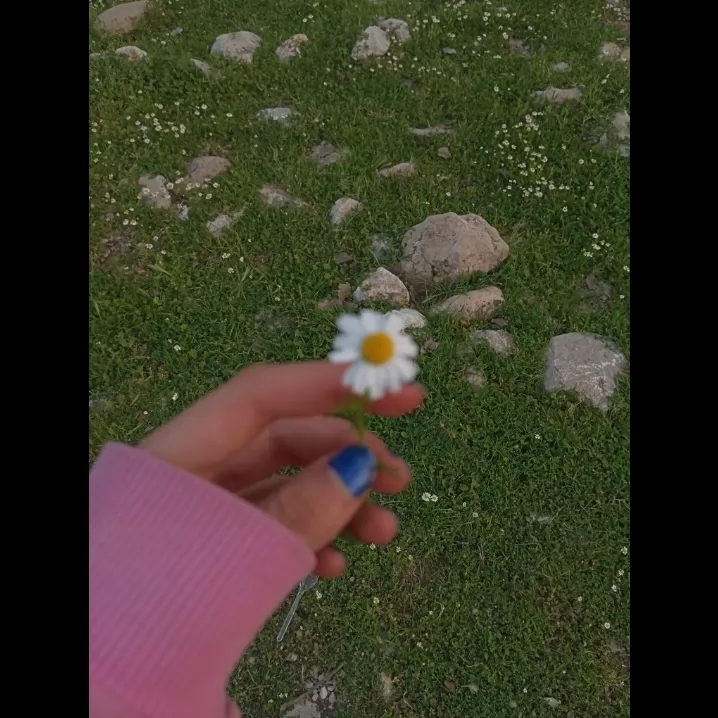  ^o^   ^o^ 