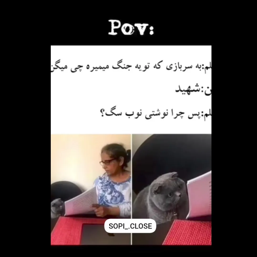 داداش خیلی نوبی تک به تک و نزدی دیگه