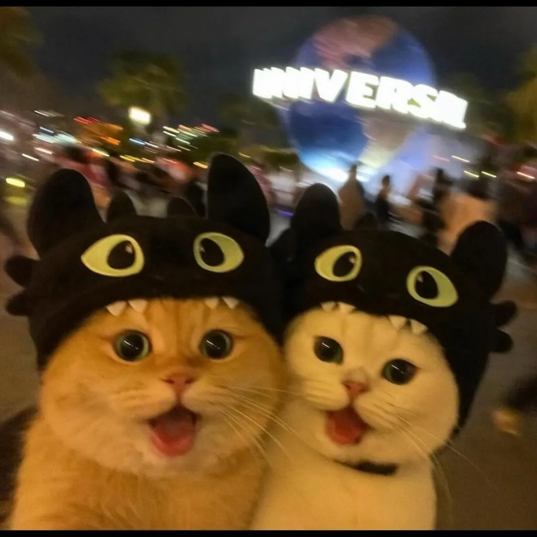🥰🥰🥰