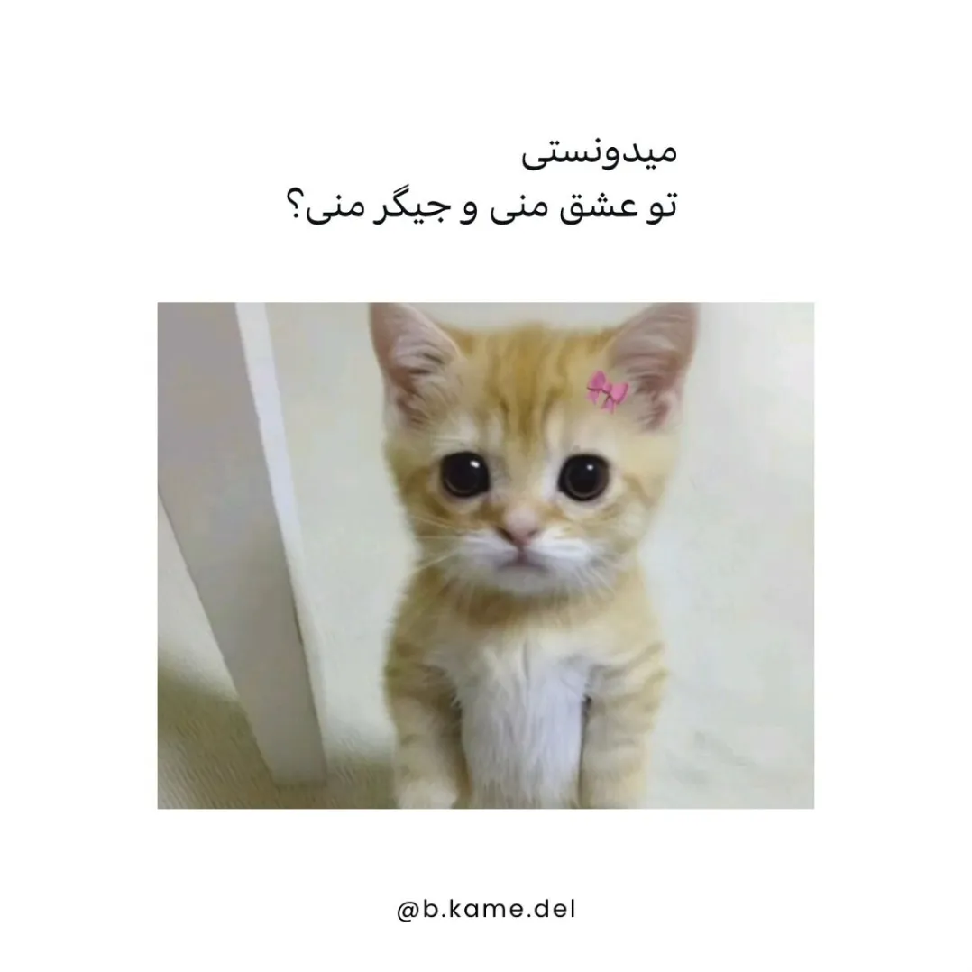 🥰🫀
