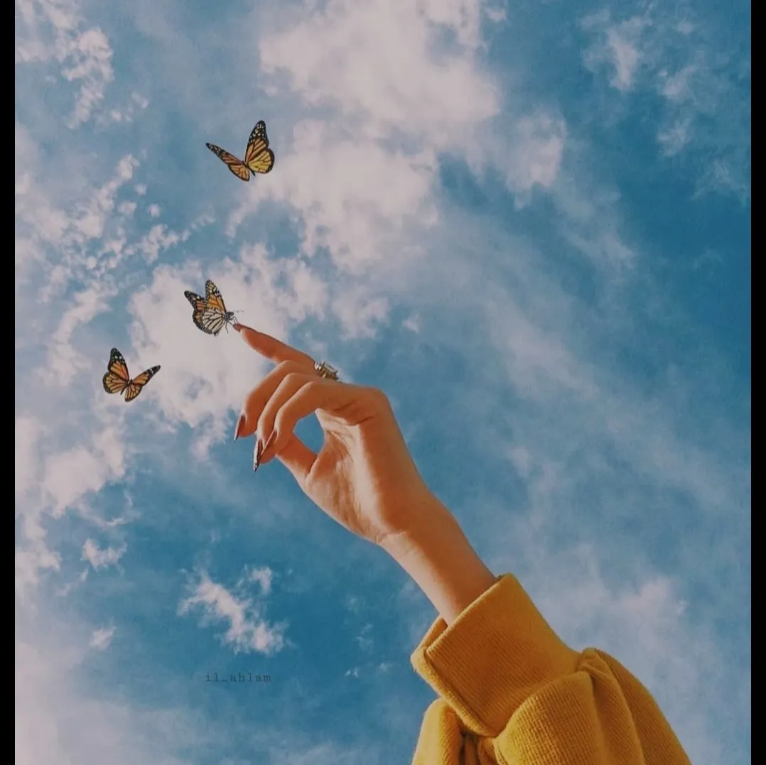 تو پروانه منی❣️💌