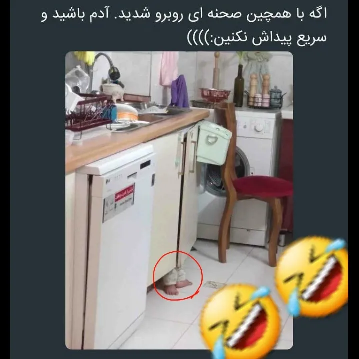 خر نشید الکی میگه