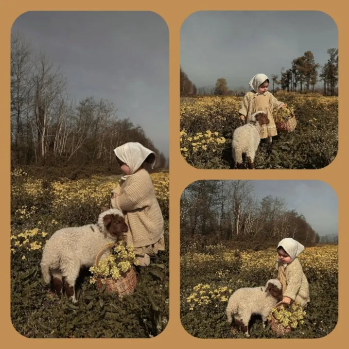 🙃گوگولی ترین چیزی ک امروز دیدم🐑🌼🐣🍯