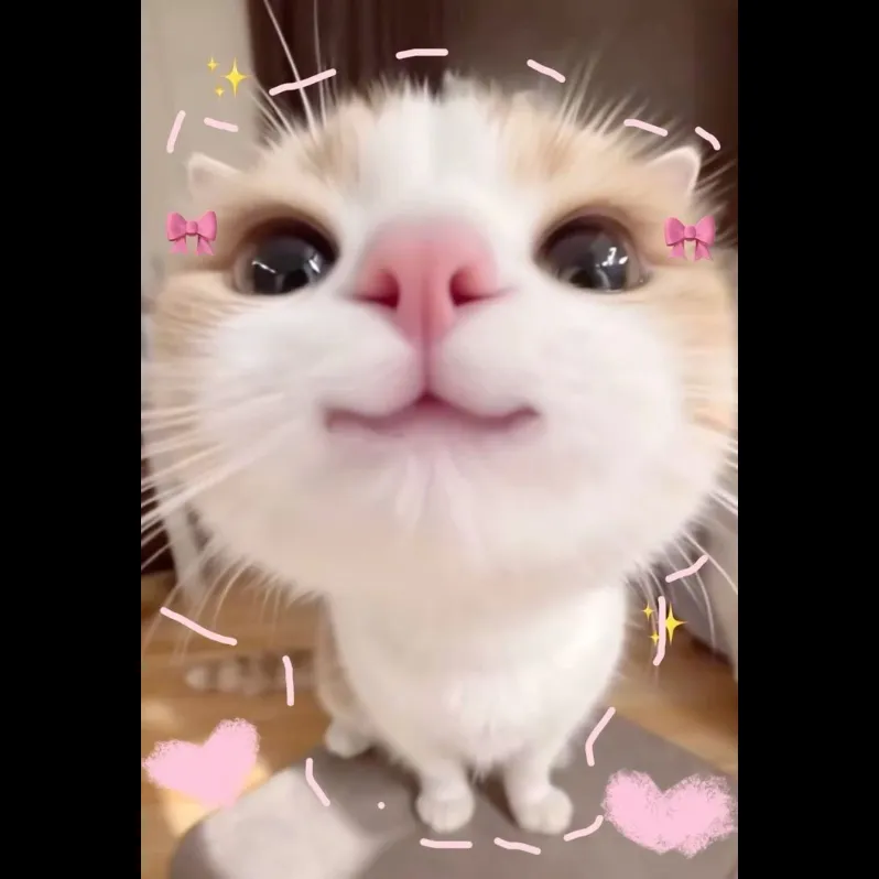 وقتشه که لپ منو ماچ کنی💖