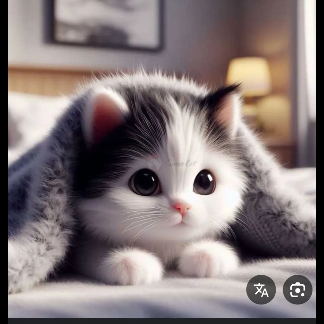 چه نازهههههههههه