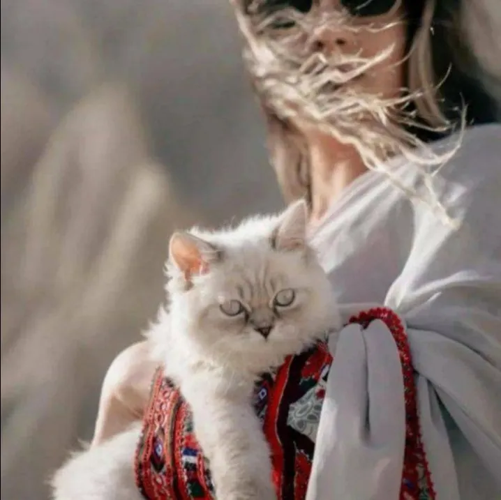 همه چیز به وقتش قشنگه♡نیها بلوچ 