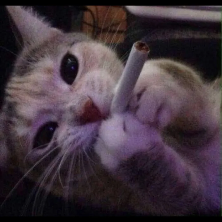 بالای اقبالم نوشتم کی..  ر ممنوع کی.... ر اومد گفت سواد ندارم 😂🤣<br />
