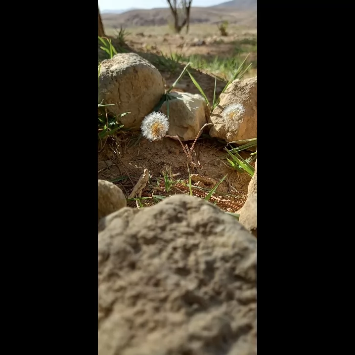 شما بجای من حرف بزنید.<br />
من بهش میگم بیا لج کرده میگه نمیام😅😅😂😂
