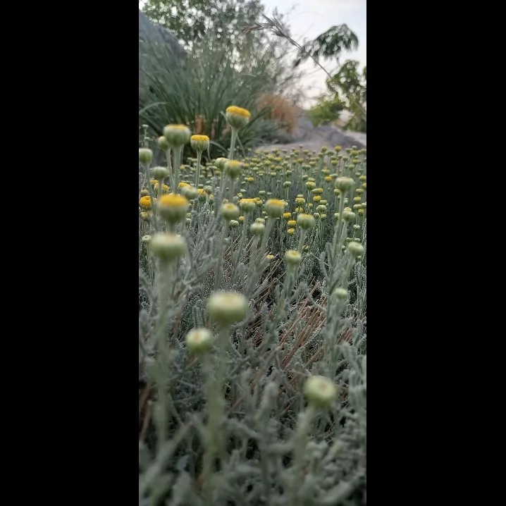 بقیش تو پیج