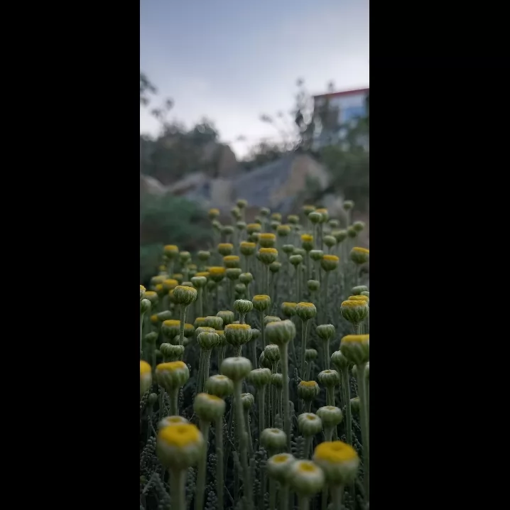 بقیش تو پیج