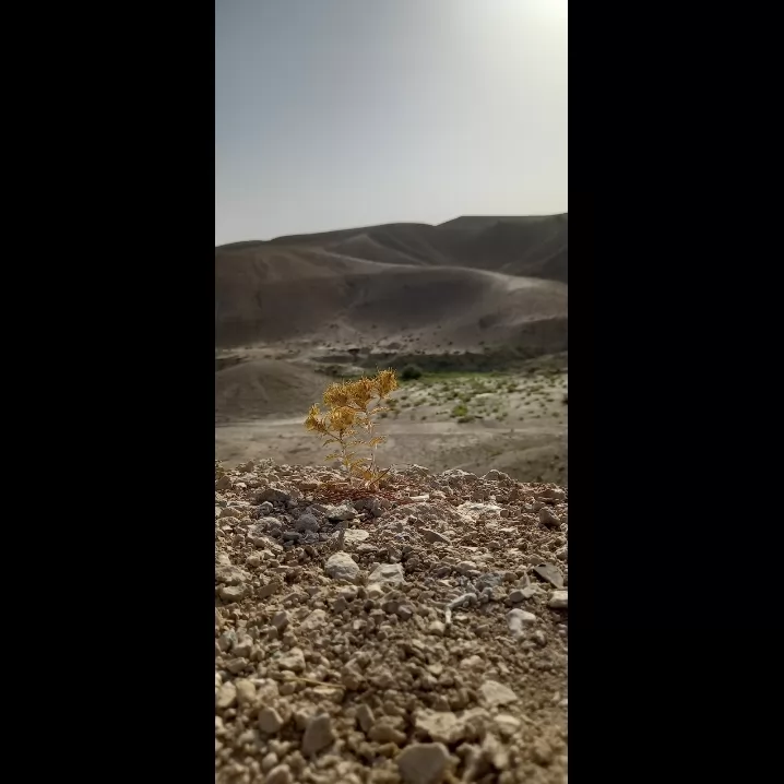 اگه استعداد عکساسی توم دیدی <br />
کامنت بزار.<br />
من همه ی اینارو با گوشی گرفتم.