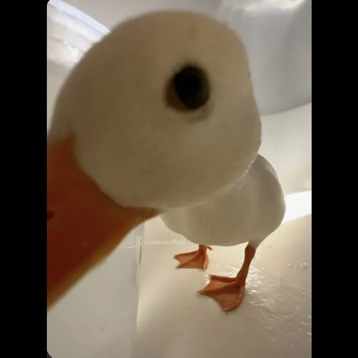 وقتی سین میزنه جواب نمیده🤣😂