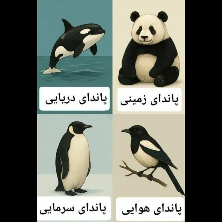 دقت کردین؟