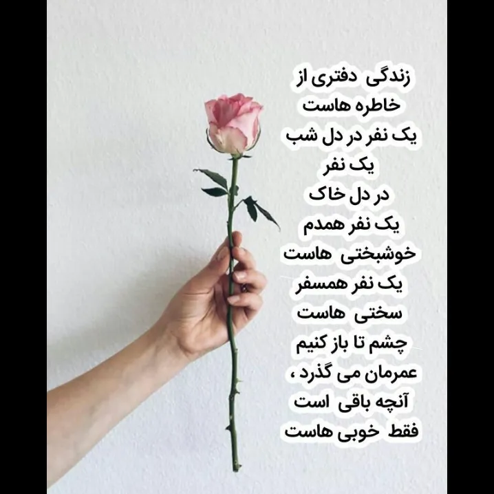 شعر بزارم؟