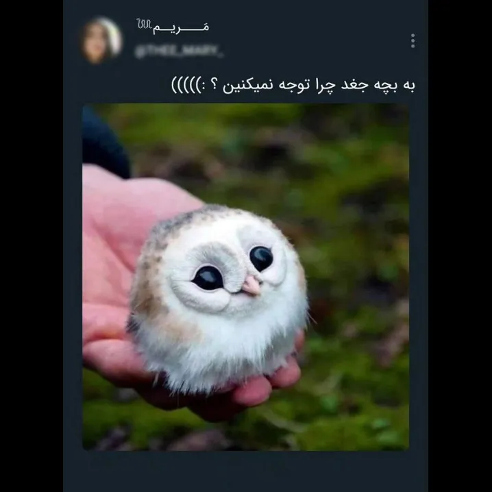 کو توجه؟