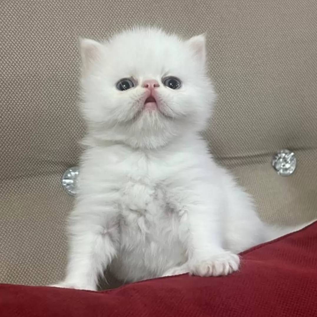 بچم🥺😺