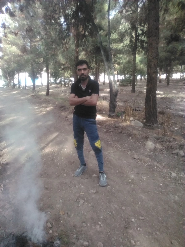 ساسی
