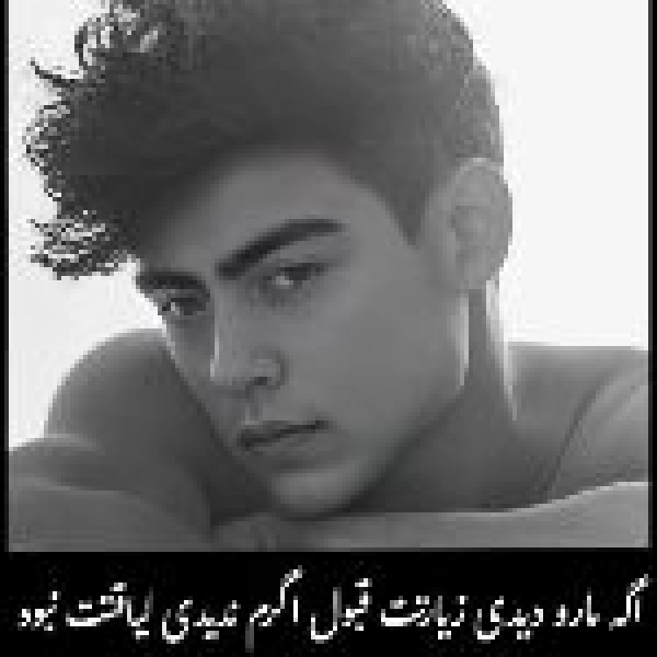 امیر