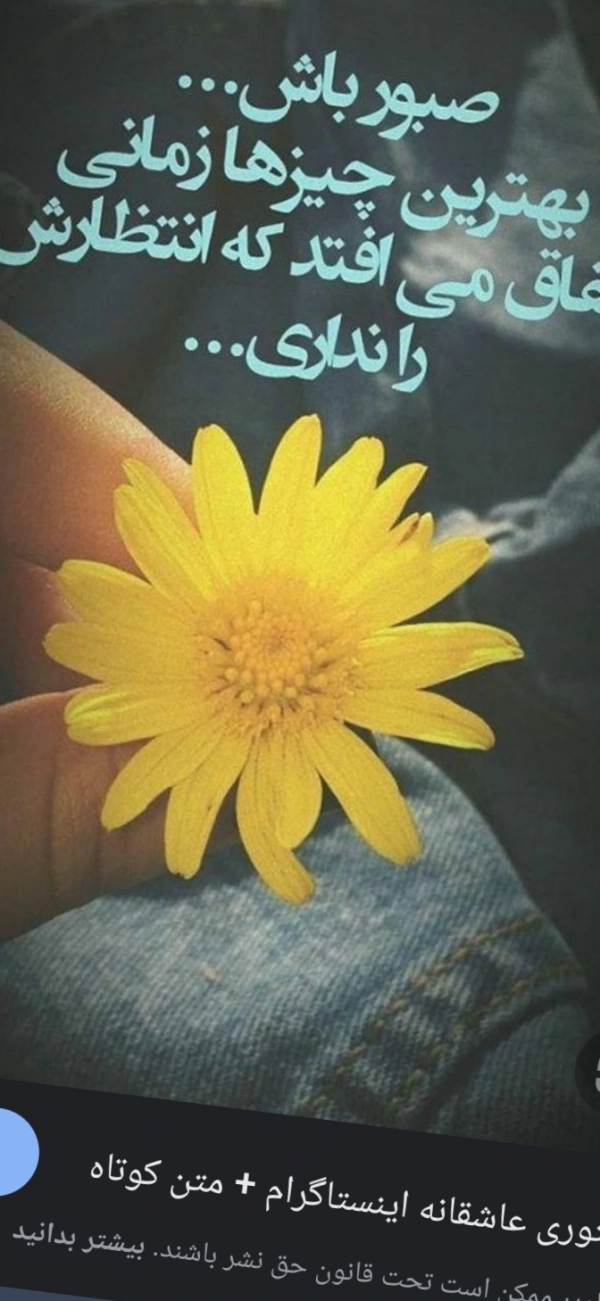 رضا۲۹