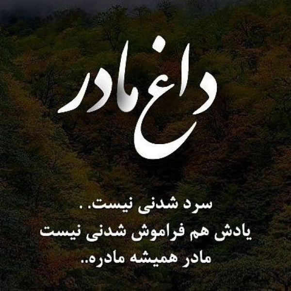 زمین