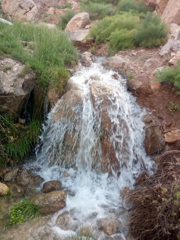 Mojtaba3467