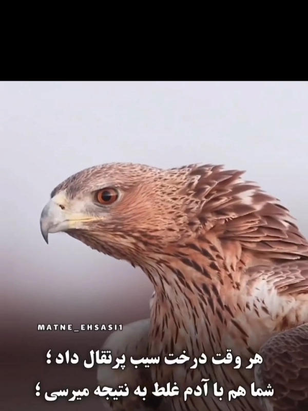 پسر تنها