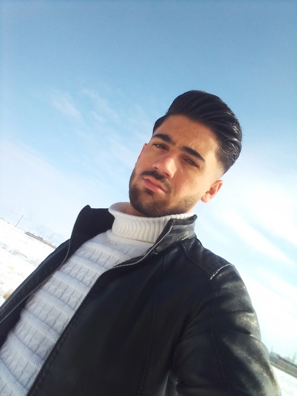آرتین