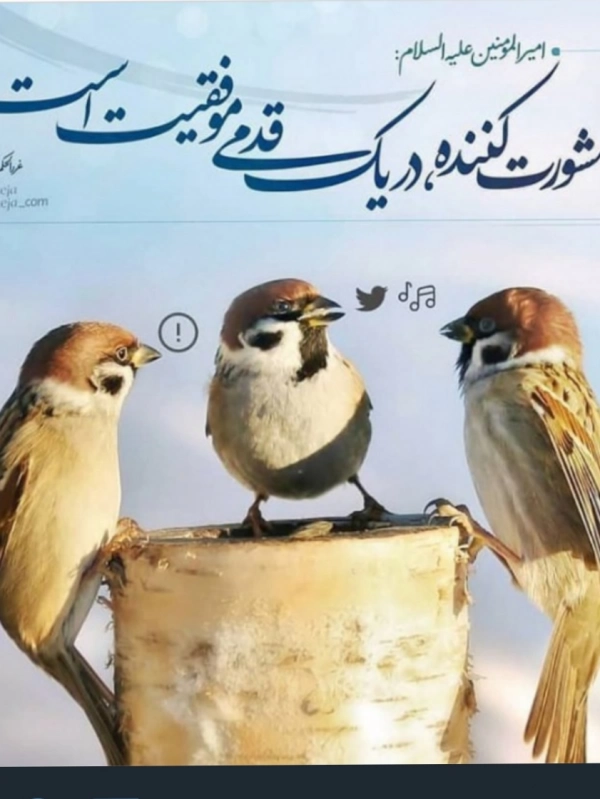 هنوز کشف نشده