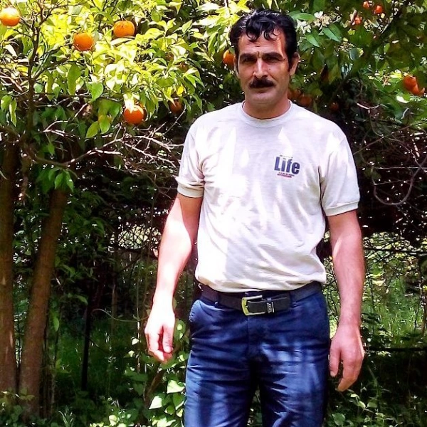 سیاره 3951