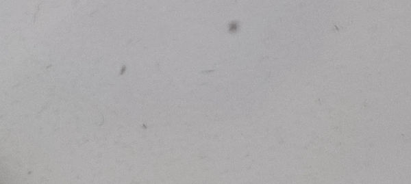 ۱۱۰