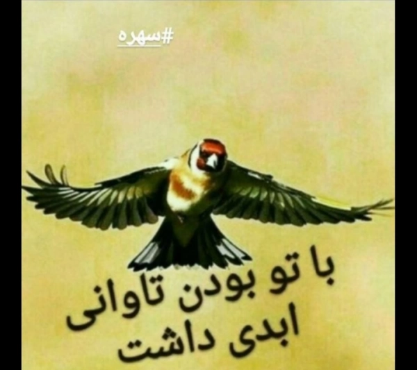 حسین