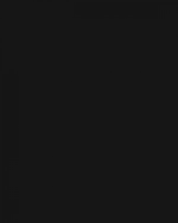 RAMIN