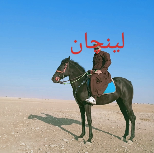 عباس.کورد ایلام