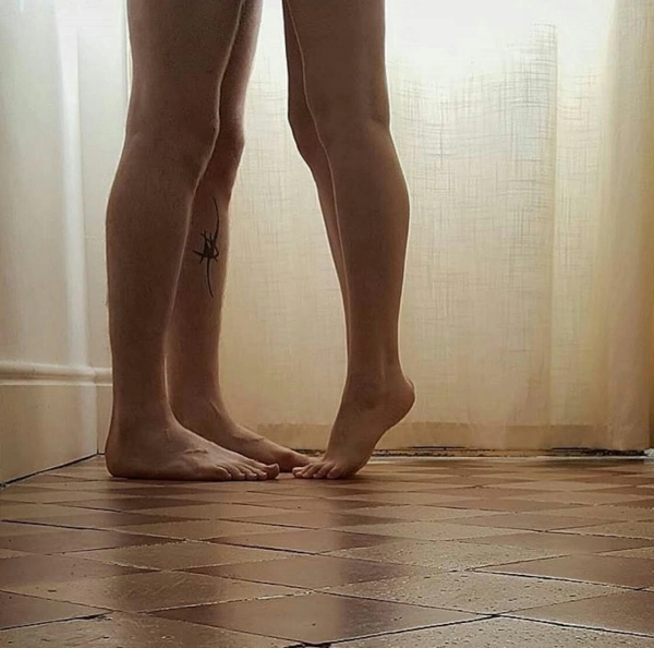 nilufar