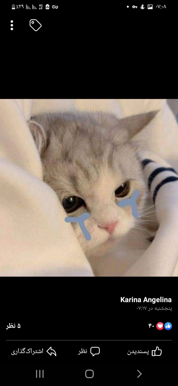 شکلات