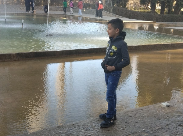محمد مهدی