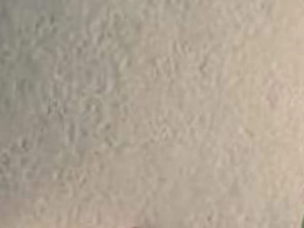 طه