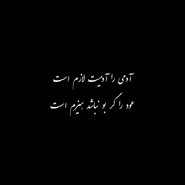 ♥️OMID♥️