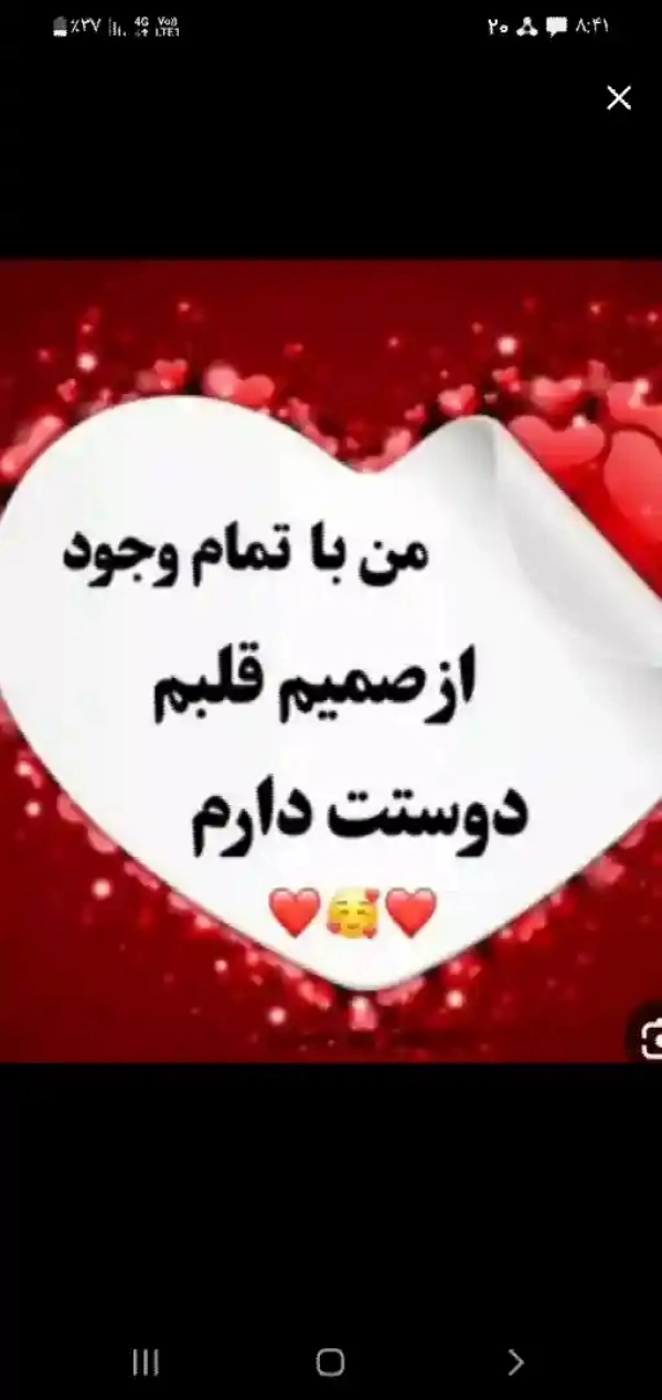 شاین 3191