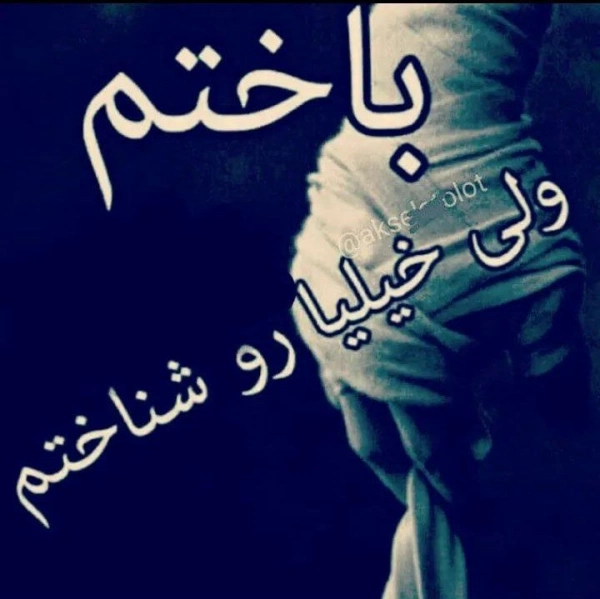 AMIR{TANHA}